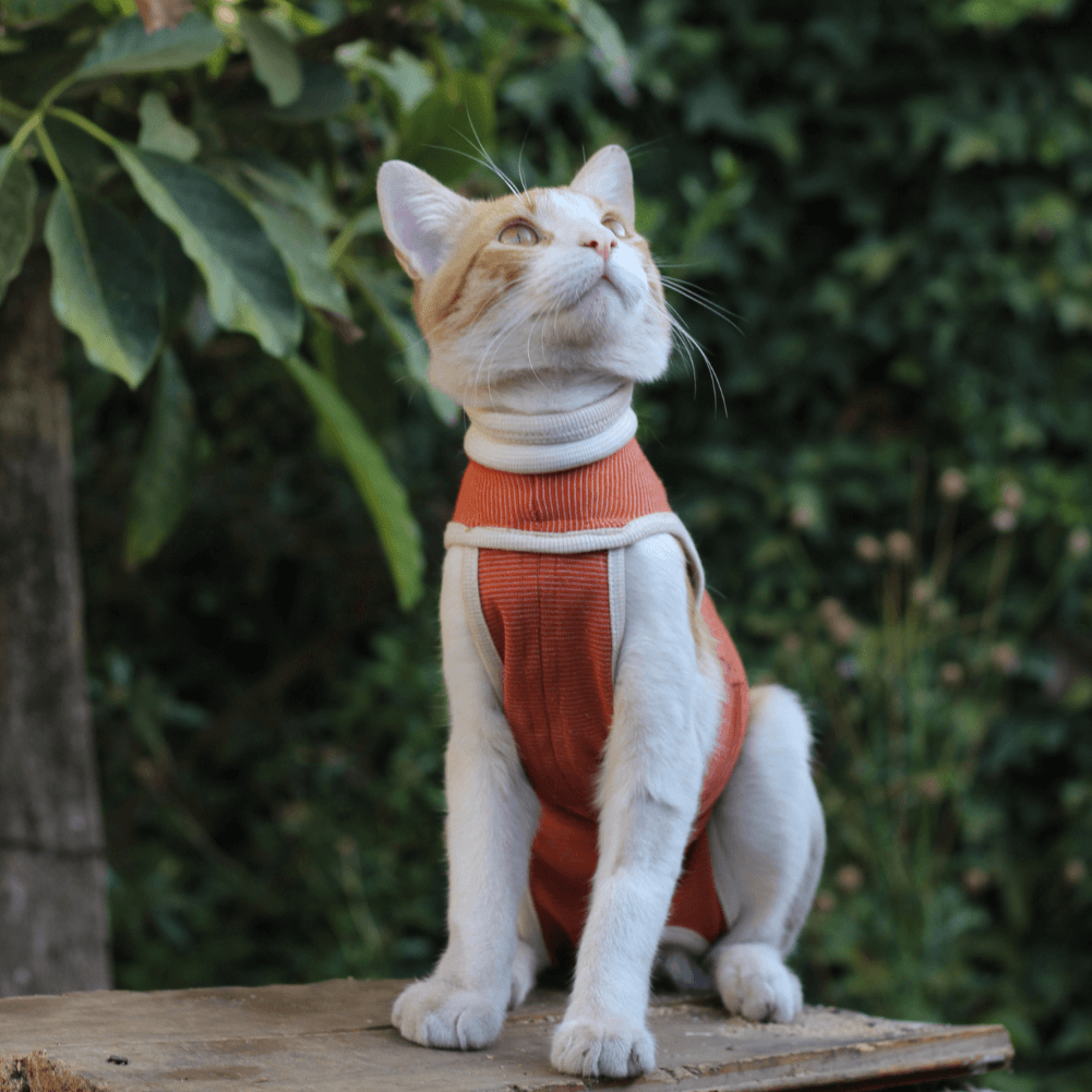 Body Cobre Protección (sin patas) Para Perros y Gatos